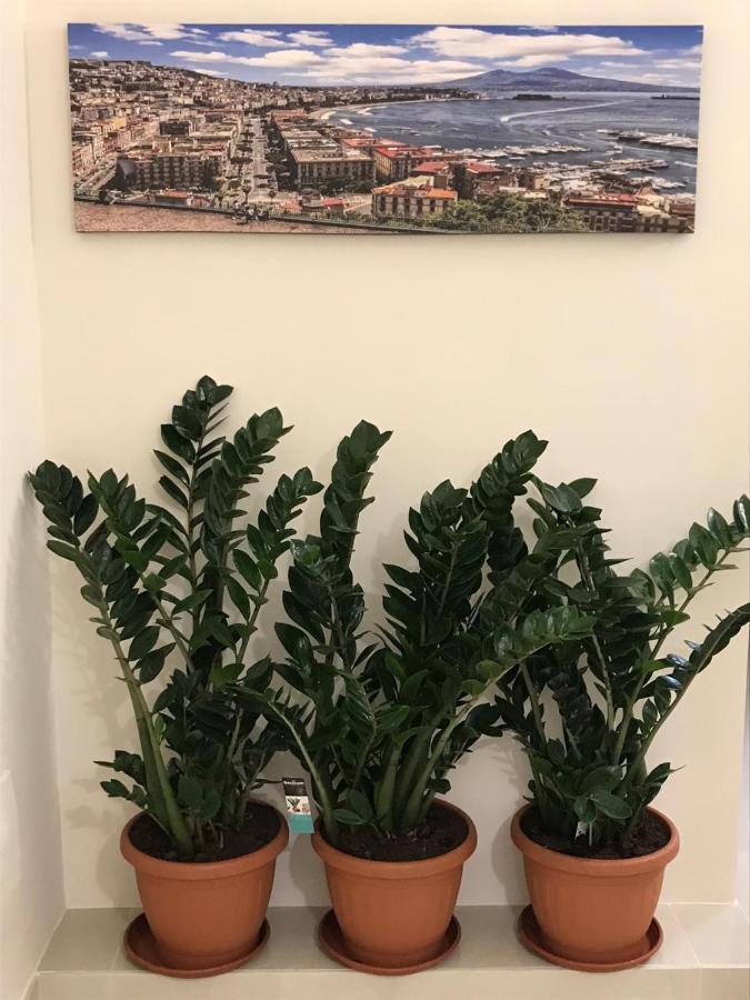 Costa Apartment ナポリ エクステリア 写真